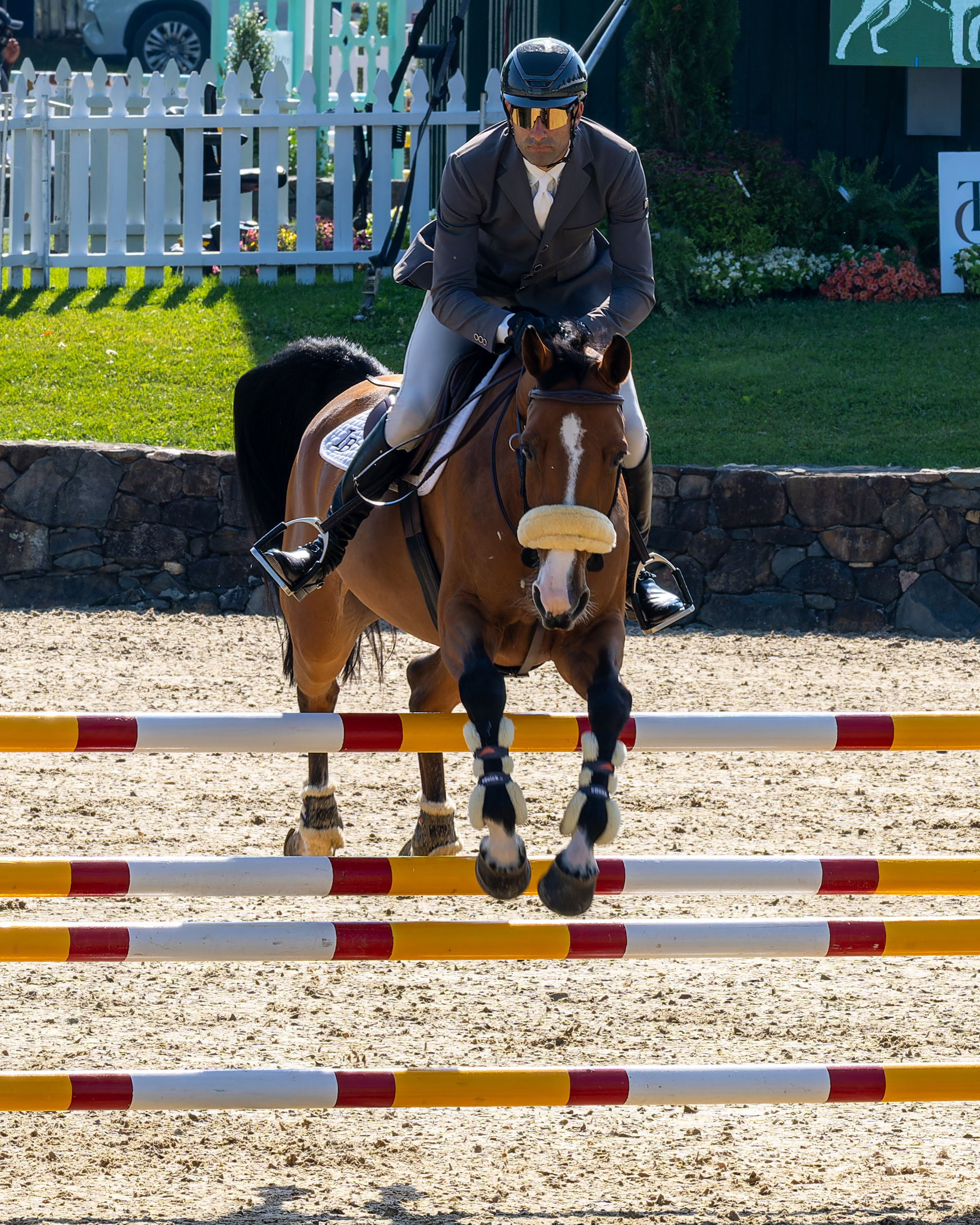 Luna Van't Ameldonk 2 ridden by Ibrahim Barazi